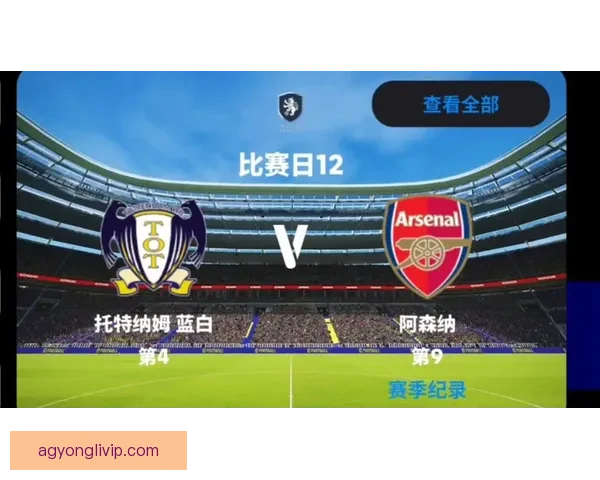 北京足球联赛最新排名全解析及各队表现趋势分析